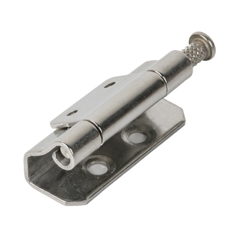 క్యాబినెట్ కీలును దాచిపెట్టింది క్యాబినెట్ కీలును దాచిపెట్టింది