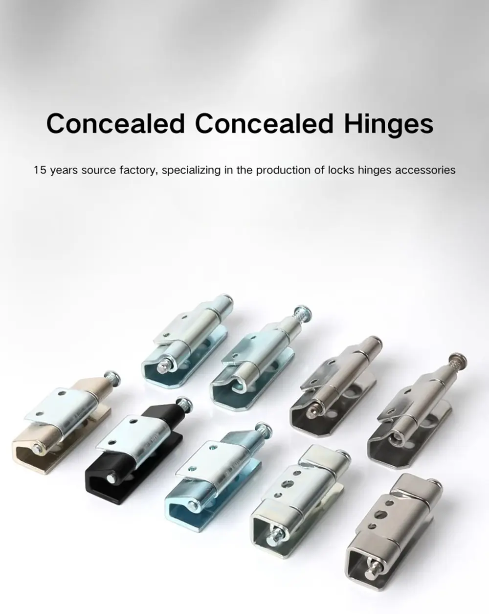 Cabinet Concealed Hinge